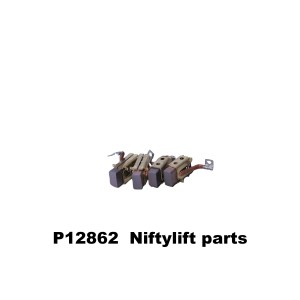 P12862 BRUSHES (WITH SPRINGS) DIE CAST CAP 