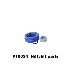 P16024 SEAL KIT FOR P12991 (SUSPENSION CYLINDER 